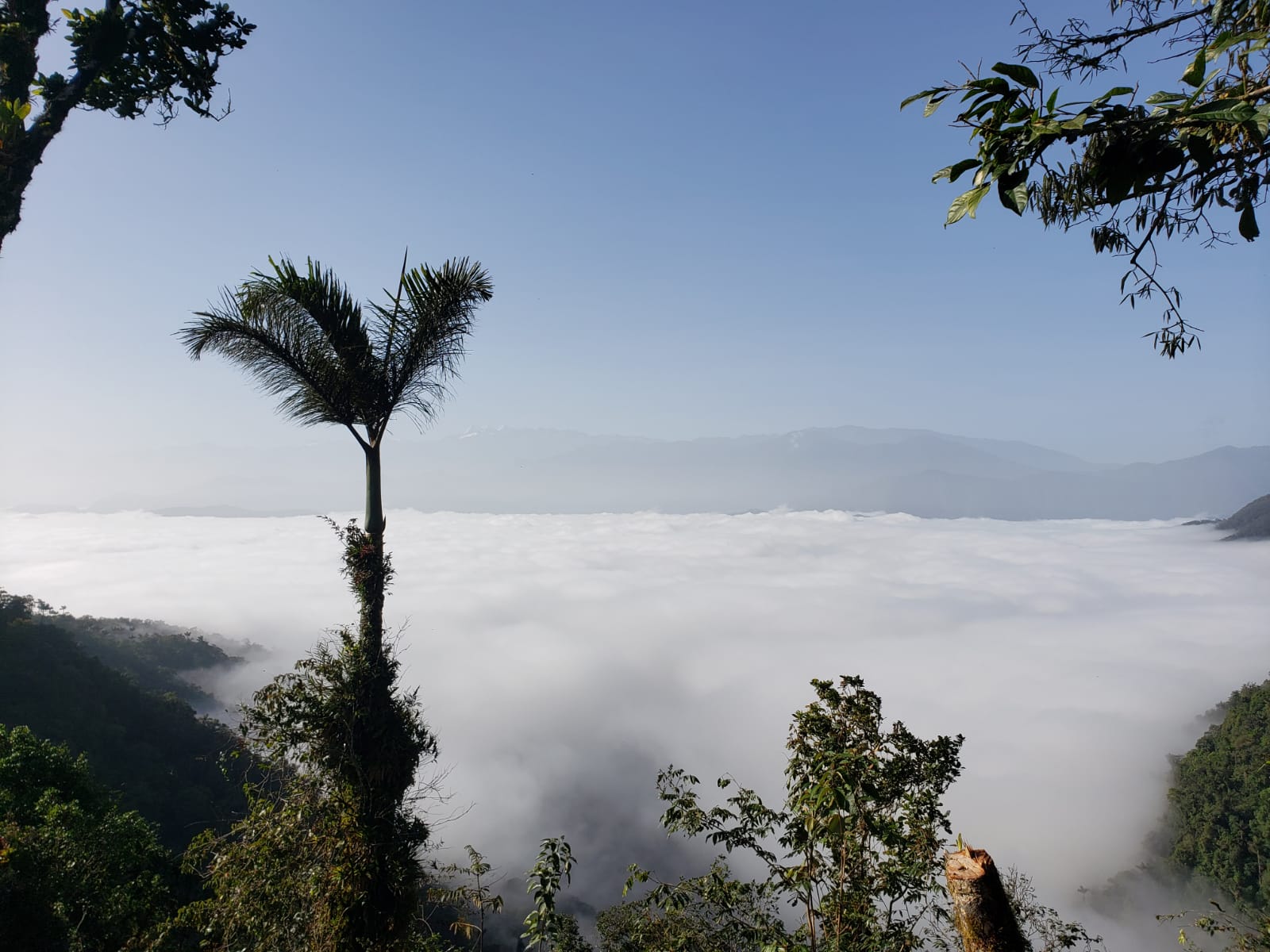 Nubes